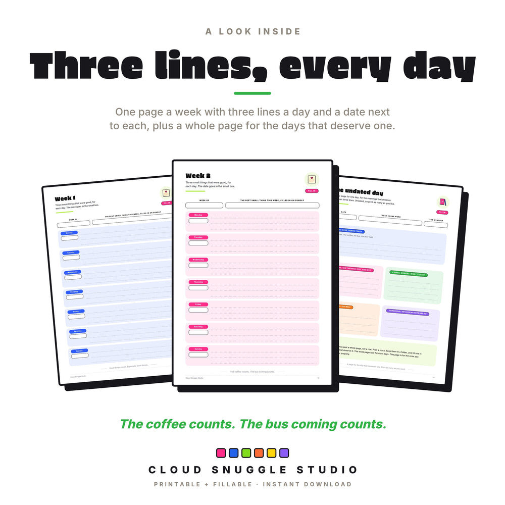Real pages: the week 1 and week 2 pages with three lines a day, and the undated page for a big day.